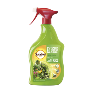 Sapone Nero Lava Melata 750 ml Spray Solabiol