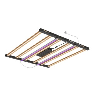 Xplore Series LED 730 W Illuminazione di alta gamma