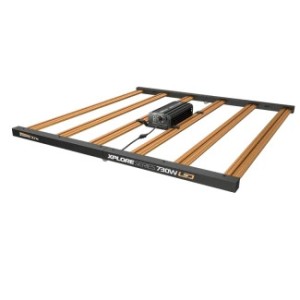 Xplore Series LED 730 W Illuminazione di alta gamma