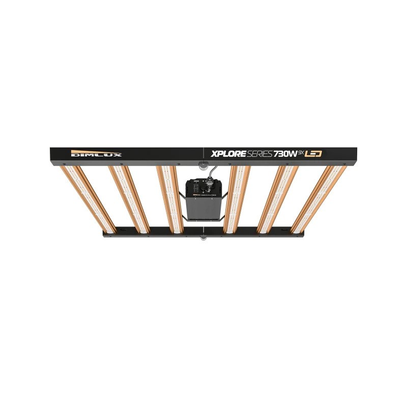 Série Xplore LED 730 W 9x Éclairage haut de gamme