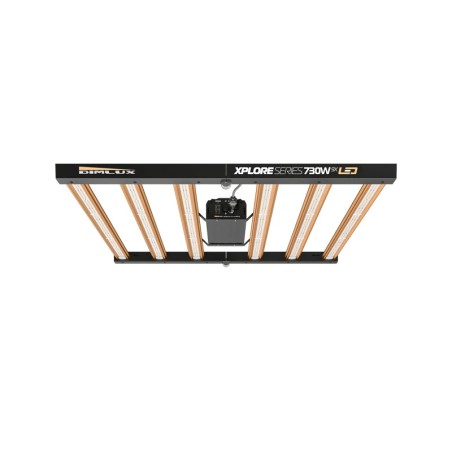 Série Xplore LED 730 W 9x Éclairage haut de gamme
