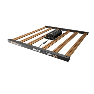 Xplore Series LED 730 W 9x Illuminazione di alta gamma