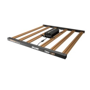 Série Xplore LED 730 W 9x Éclairage haut de gamme
