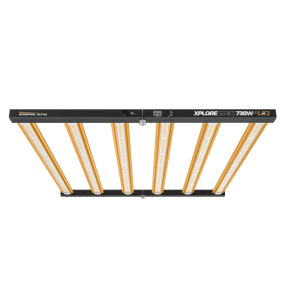 Xplore Series LED 730 W Indoor-Anbau Dimlux Indoor Grow