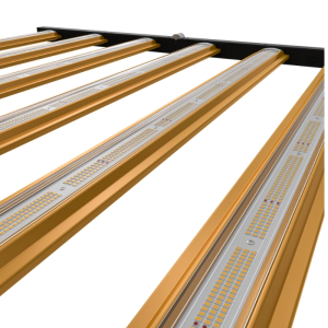 Série Xplore LED 730 W Culture Intérieure Dimlux Indoor Grow
