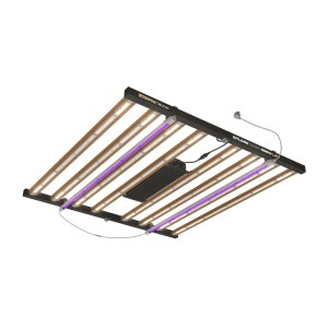 Xplore Series LED 800 W – Illuminazione di alta qualità
