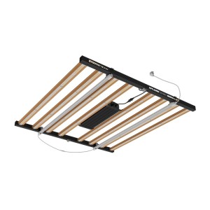 Serie Xplore LED 800 W – Iluminación de alta calidad