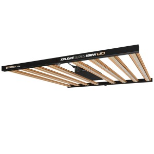 Xplore Series LED 800 W – High-quality lighting Indoor Grow
