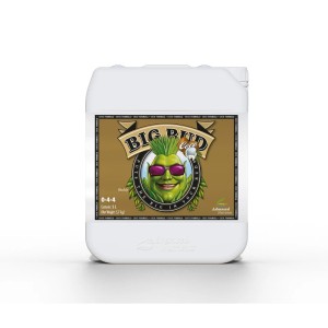 Big Bud Coco Advanced Nutrients – Stimolatore di fioritura