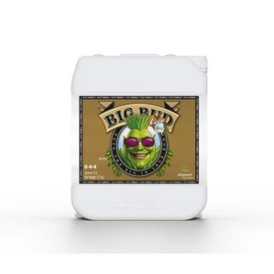 Big Bud Coco Advanced Nutrients – Stimolatore di fioritura