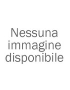 Insetticidi Chimici / Convenzionali