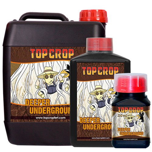 Deeper Underground - Top Crop