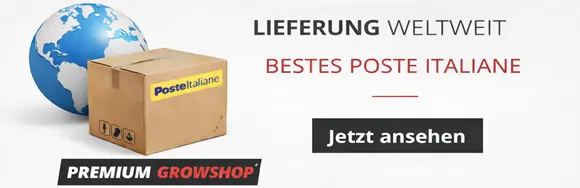 Weltweite Lieferung