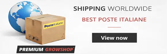 Worldwide Delivery