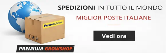 Consegna In tutto il Mondo