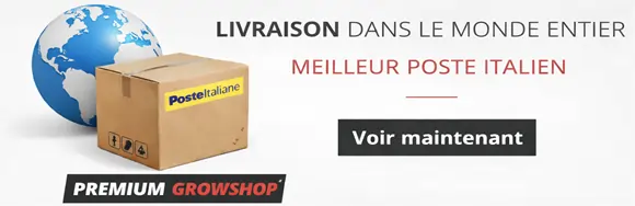 Livraison Dans le Monde Entier