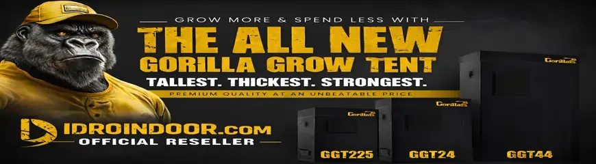 gorilla-grow-tent-4